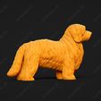 4174-Coton_De_Tulear_Pose_03.jpg Coton De Tulear Dog 3D Print Model Pose 03