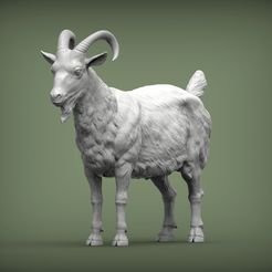 Goat2.jpg STL file Goat 3D print model・3D print design to download, akuzmenko