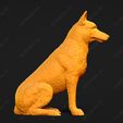 1686-Belgian_Shepherd_Dog_Malinois_Pose_04.jpg Belgian Shepherd Dog Malinois Dog 3D Print Model Pose 04