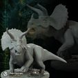 July-Release_M34.jpg Triceratops