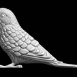 2023-10-04_22-25_2.png Budgie