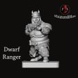 Nano-Ranger-fronte.jpg Miniature Set Rangers