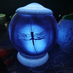 IMG_20201221_005006.jpg Dragonfly Lithophane Lamp