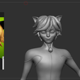 Screenshot-2025-06-27-230051.png Cat Noir Fixed