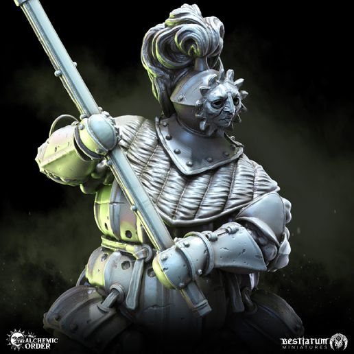 03_Leprosy_Knight_2_CU.jpg Alchemic Order: Collection