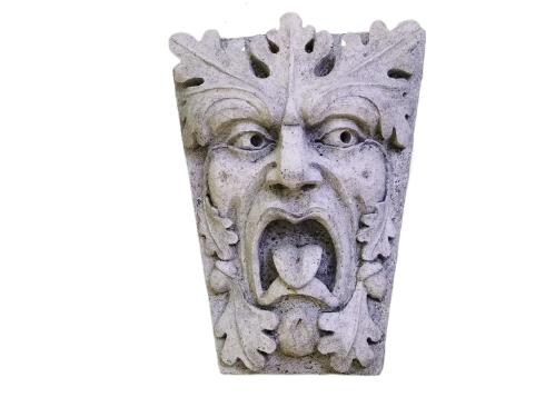 il_794xN.1008471780_ngzq-fotor-bg-remover-20250731113343.png GREENMAN