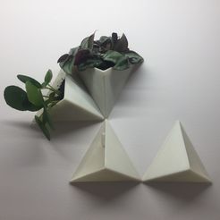 IMG_3872-v2.jpg Бесплатный STL файл Plant Triangle・3D-печатная модель для загрузки