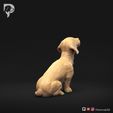 Dachshund-Miniature-Wire-Haired-Pose-05-Dog-3D-Print-4s.jpeg Dachshund Miniature Wire Haired Pose 05