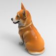 c1.jpg Corgi assis