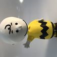 Charlie Brown, LTDInvestments