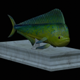 Base-mahi-mahi-7.png fish mahi mahi / common dolphin fish statue detailed texture for 3d printing