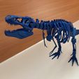 IMG-1253.jpg Posable T-Rex Skeleton- supportless