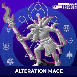 heavyraccoonstudio3d_338275678_170761339132493_943723978916092748_n.jpg Archivo 3D Mago de la alteración・Modelo de impresora 3D para descargar