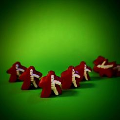 IMG_20230117_120608326~2.jpg Meeple à rayons X