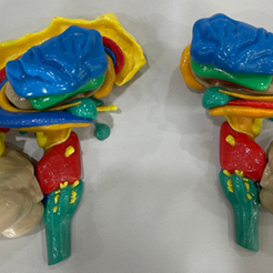 Multicolor-magnetic-assembled-brain-stem-3.png Multicolor magnetic-assembled brain stem