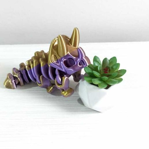 WhatsApp-Image-2023-08-01-at-8.01.18-AM-3.jpeg Nice Triceratops Skeleton