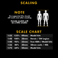 Scaling-Pg.png X4NDERSS Gen2.5 Military Set 11 - [TAGS: Modular Heroic 48th Scale Miniature 3D Print AK47 AR Assault Rifle STL Models Military Marine Helping Injured Dragging Russian Face Shield Infantry Troopers SCP]
