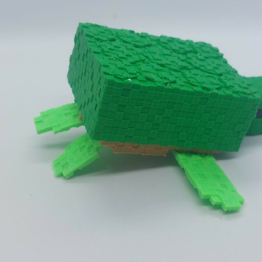 20240107_132255.jpg Minecraft Turtle