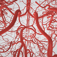 artery,-cerebrovascular,-brain,-face,-hemisphere,-willis,-dental,-neck,-vein,-head,-cerebellum,-vasc.png 3D 头颈部血管解剖图 - 动脉、静脉和脑血管系统