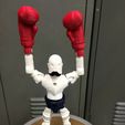 photo_2.jpg Boxer Bot