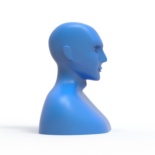 human.5.jpg Human 3d model