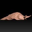 1.jpg Rotten Slug - Dark Souls 3
