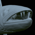 Barracuda-mouth-statue-46.png fish great barracuda / Sphyraena barracuda open mouth statue detailed texture for 3d printing