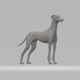 1.png Miles Whippet Neutral Pose Free 3D print model