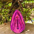 WhatsApp-Image-2023-08-25-at-19.15.41.jpeg Anatomical vagina, vulva and clitoris