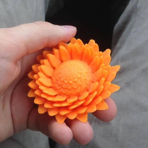 13310440_10153934938034425_3481002861189338463_n.jpg Flower