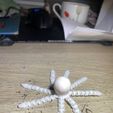 IMG_6367.jpg articulated octopus