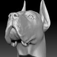 19.jpg Great Dane head for 3D printing