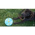 Beatriz_7.jpg STL file Dog's game・3D printing design to download