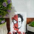 WhatsApp-Image-2025-07-30-at-8.12.11-AM-1.jpeg Spiderman Andrew