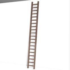 Wooden-Ladder01.jpg Wooden Ladder
