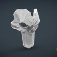 untitled.324.jpg Death Mask darksiders- life size wearable