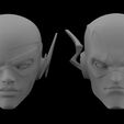 01.jpg THE FLASH AND KID FLASH HEAD SCULPT