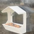 IMG-8444.jpg Comedero para pájaros de ventana ¡Rápido!