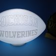 IMG_20230618_100043945.jpg Michigan Wolverines FOOTBALL LIGHT