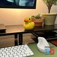 Rubber-Duck-on-Desk.jpg 3D Printed Ducky