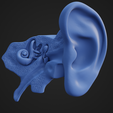 EP3.png Ear Anatomy parts