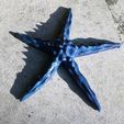 P1170095_2.jpg Download file Starfish • 3D print design, phipo333