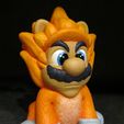 Giga-Cat-Mario-Painted-4.jpg Giga Cat Mario (Easy print no support)