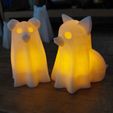 20221008_110317.jpg Perritos fantasma / Spooky dogs Collection