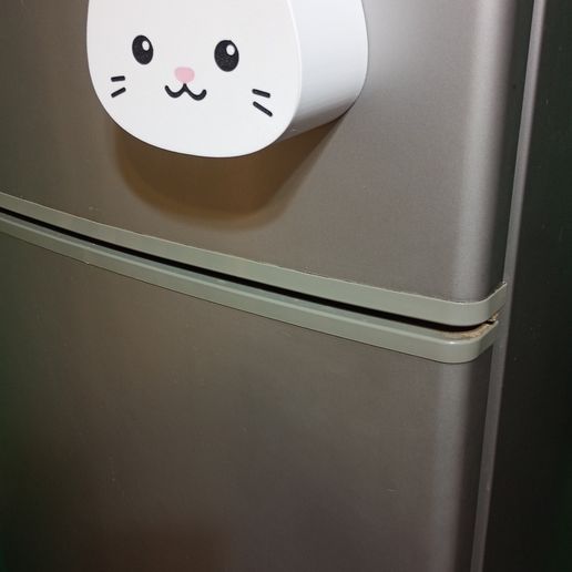 Magnetic Storage Box cat