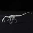 Hunt3.png Compy - Compsognathus Dinosuar Reptile