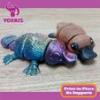 SEIS.jpg FLEXI CUTE PLATYPUS