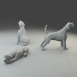 3.png Low polygon Giant Schnauzer 3D print model  in three poses