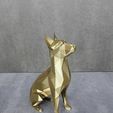 b46696e5-6d4b-4e96-9b63-bdf27086bf40.jpeg STL file Belgian Malinois dog・3D print design to download