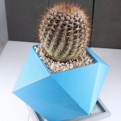 Spiky.jpg Free STL file Spikey Planter・3D print object to download